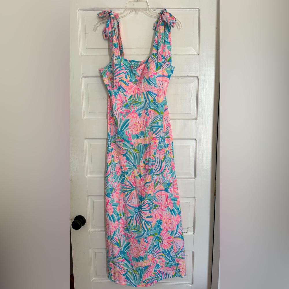 NWT Lilly Pulitzer Maleka Maxi Dress - M